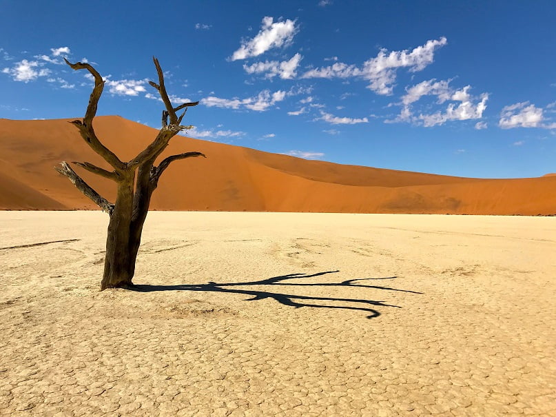 Deadvlei, em Sossusvlei (Viagem fotográfica pela Namíbia por Carioca NoMundo)