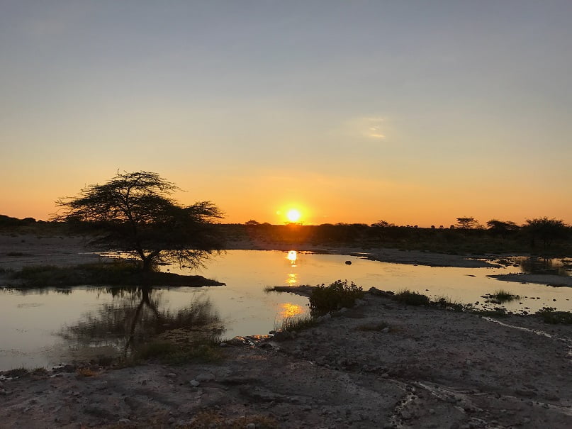 A tranquilidade do Etosha Park na hora do por do sol (Viagem fotográfica pela Namíbia por Carioca NoMundo)